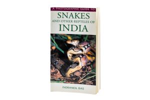 Snake of India